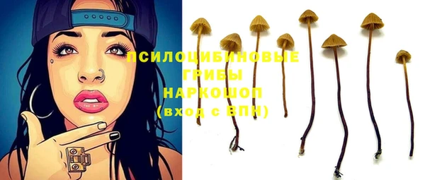 apvp Армянск